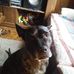 Mike Huffmaster - Facebook
