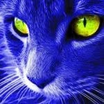 Michael Huggett - @michaelhuggett - Instagram