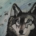 Michael Huggler - Facebook