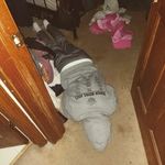 michael hulak - @michaelhulak3 - Instagram