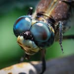 Michael  Hulmes - @mikeyoutdoors3574 - Instagram