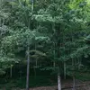 Michael. Hunt - @micheal.hunt - TikTok
