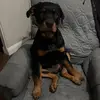 Michael hunter - @michael.hntr - TikTok