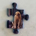 Michael Huntwork - @deadbeat_mike - Instagram