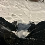 Michael Huntzinger - @michael.huntzinger - Instagram