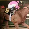 Michael Hurdle - @michael.hurdle2 - TikTok