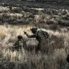 Micheal Huskey - @micheal.huskey - TikTok