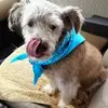 Michael Hyams - @michael.hyams0 - TikTok