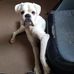 Michael Hyams - Facebook