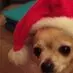 michael_hynds - @michael_hynds - TikTok