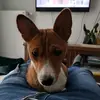 Michał Idzikowski846 - @michaelidzikowski - TikTok