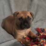 Michael Iles Chapman - @ch4ppy14 - Instagram