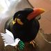 Michael Illgen - Facebook