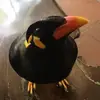 michaelillgen552 - @michaelillgen552 - TikTok