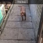 Michael Booth Illingworth - @michaelboothillingworth - Instagram