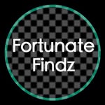 Michael Illuzzi - @fortunatefindz - Instagram
