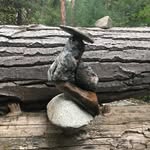 Michael Inbody - @inbody06 - Instagram