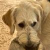 Michael_Inglis - @michael_inglis - TikTok