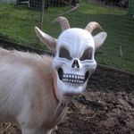 @michael_inglis - Instagram