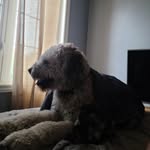 Michael Inksater - @michaelinksater - Instagram