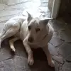 Michael Ioannou - @michael.ioannou1 - TikTok
