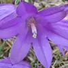 michaelion407 - @michaelion407 - TikTok