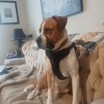 Michael Ippolito - @ippolito4316 - Instagram