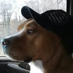 Michael Iseminger - @iseworks.transportation - Instagram