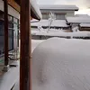 @まいける岩健 - @michaeliwata - TikTok