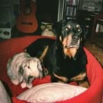 Bibaflap Michael Jacobus - @bibaflapmichael - Instagram