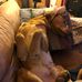 Michael Jacques - Facebook