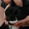 Michael James - @michael.james51 - TikTok