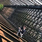 Michael Jamin - @mickey_mj_49 - Instagram