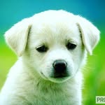 Michael Janda - @michaeljanda13947 - Instagram