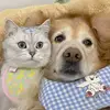 michaelajanda - @michaela.janda - TikTok