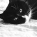 Michal Janek - Facebook