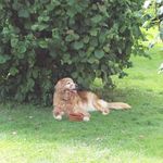 Michael Janicki - @michaeljanicki0815 - Instagram