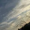 Michael Janini487 - @michaeljanini487 - TikTok