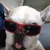 michaeljaninawir - @michaeljaninawir - TikTok
