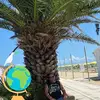 Michael Janson - @michael.janson7 - TikTok