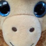Ryan Michael Jarema - @ryanlikesmonkeys - Instagram