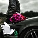 michaeljarnigan - @michaeljarnigan5980 - Instagram