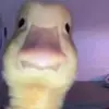 Michael_jason - @ninjalee6 - TikTok