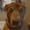 Michael Jayes - @michaeljayes - TikTok