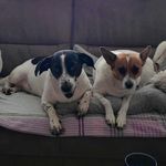 Werner Brösel - @michael_jentsch - Instagram