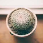 Michael Jerde - @michael_jerde360890 - Instagram