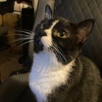 Michael Jess - @acquiredpenny86 - Instagram