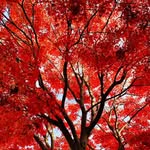 Michael Etherton - @michaeljesse - Instagram