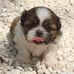 Michael Jesus - Facebook