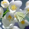 Michael Joel - @michael.joel62 - TikTok